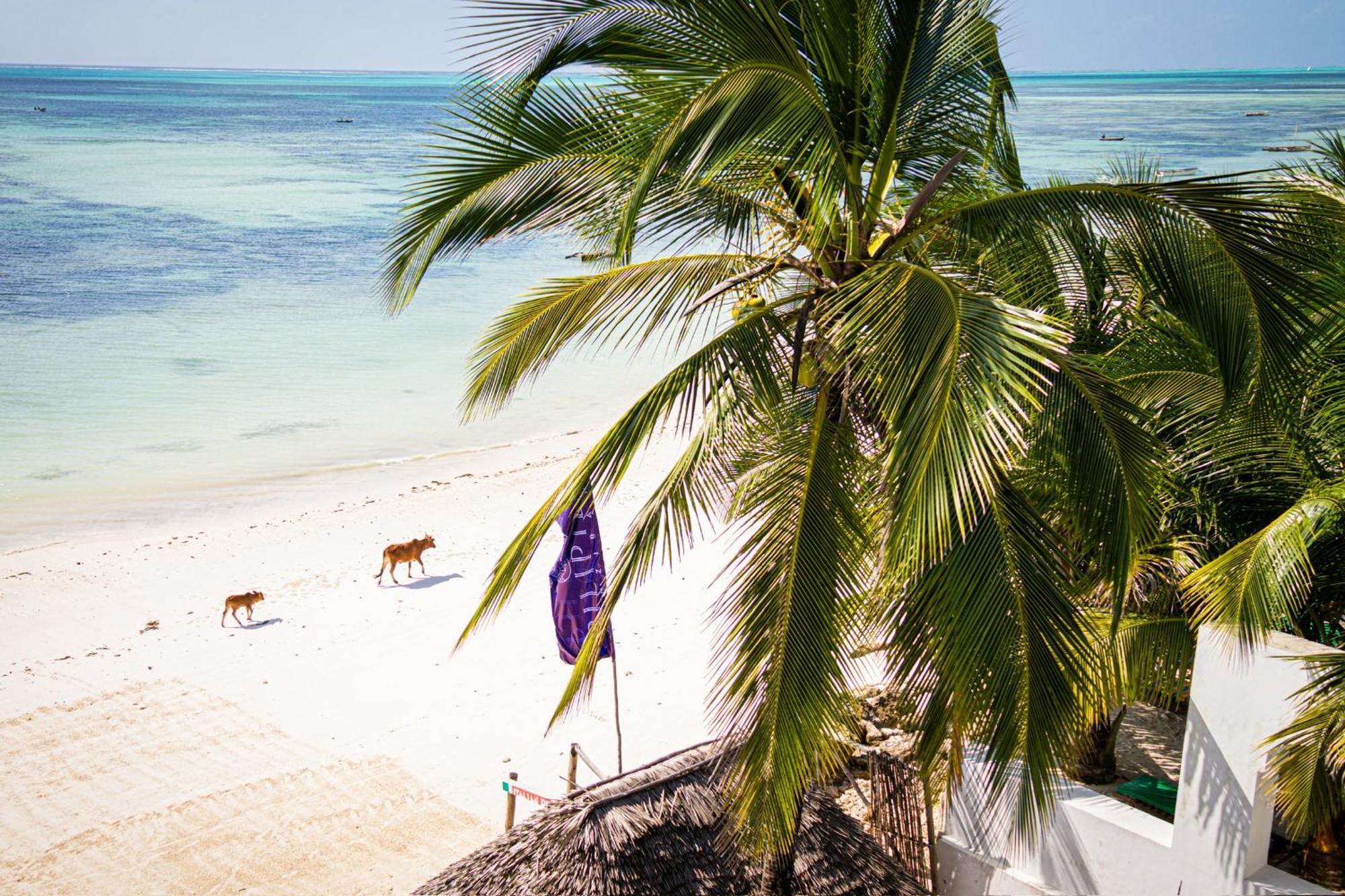 Pili Pili Sunrise Beach Hotel Jambiani  Exterior foto